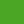 pistachio